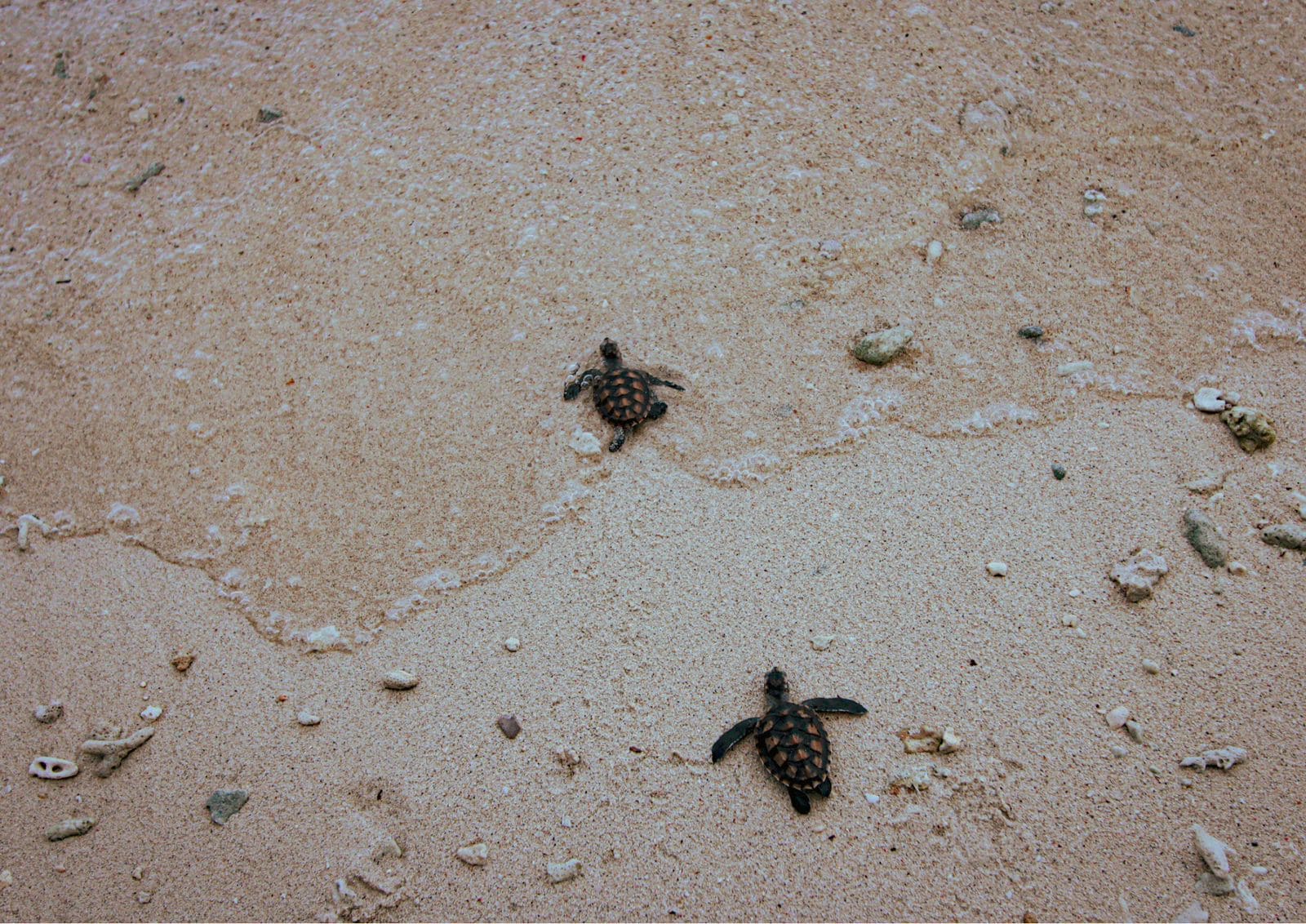 Taman Nasional Kepulauan Seribu